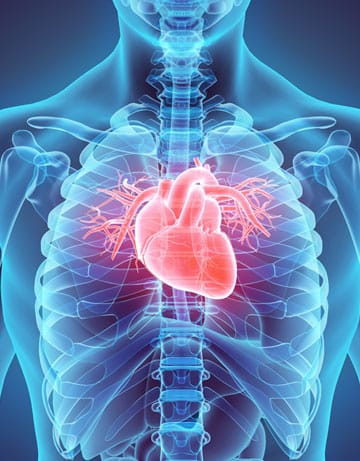 Estrategias para Mejorar la Salud Cardiovascular: Más Allá de la Medicación